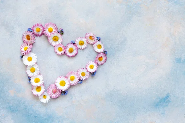 Daisy e forget-me-not modello a forma di cuore sul retro blu cielo — Foto Stock