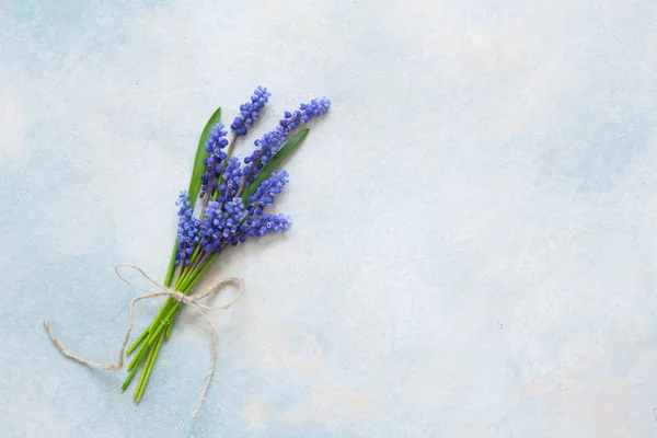 Strauß Muskari-Blumen auf dem himmelblauen Hintergrund — Stockfoto