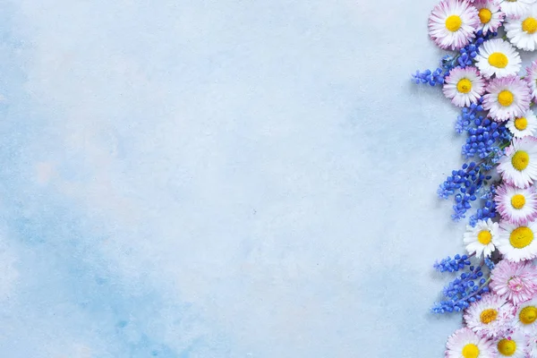 ヒナギクとムスカリの花柄フレーム — ストック写真