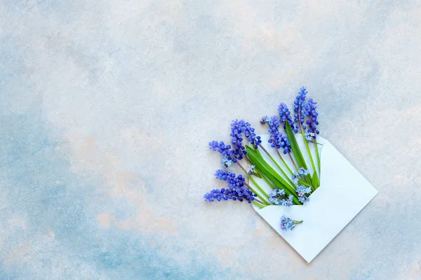Niebieskie kwiaty Muscari w niebieskim koperty papieru na błękitnym niebie — Zdjęcie stockowe