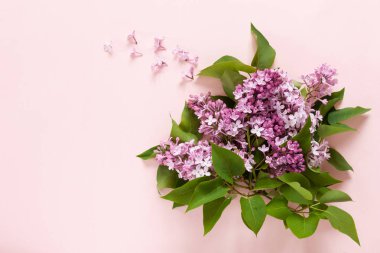 Pembe kağıt üzerinde taze kokulu pembe leylak Buket yakın 