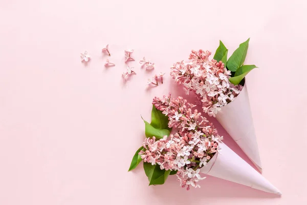 Fechar-se de Buquê de lilás fragrante fresco em cones de papel em p — Fotografia de Stock