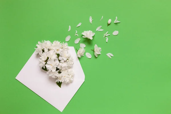 Κλείστε τη φωτογραφία της όμορφης γιασεμί λουλούδια — Φωτογραφία Αρχείου