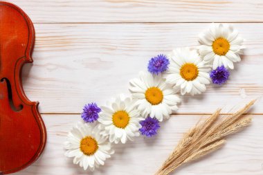   Eski keman ve papatyalar, cornflowers ve whit üzerinde buğday kulakları