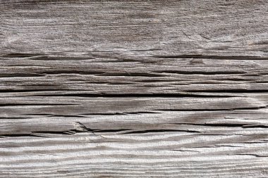 Eski ağacın dokusu. Ahşap vintage arka plan