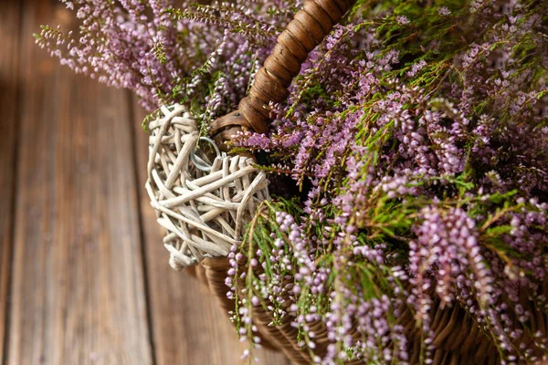 Hermoso ramo fresco de brezo del bosque en flor en la cesta — Foto de Stock