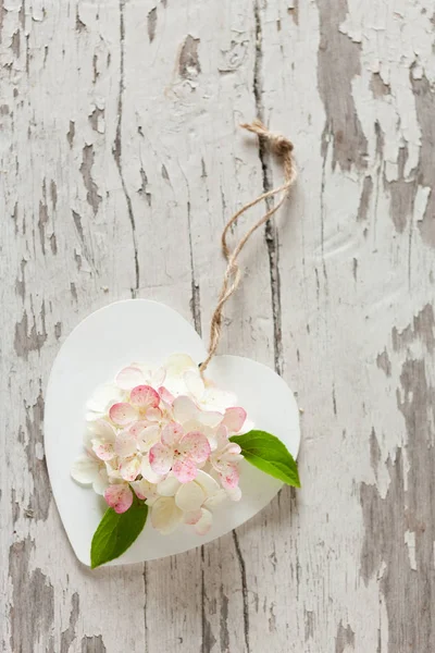 Símbolo de coração de madeira branco com flores de hortênsia hortensia — Fotografia de Stock