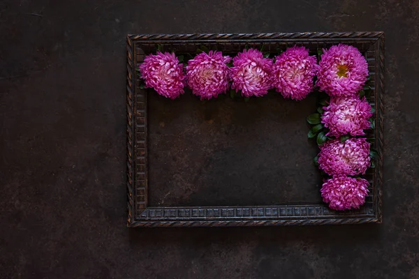 Mooie paarse herfst bloemen asters met Kopieer ruimte — Stockfoto