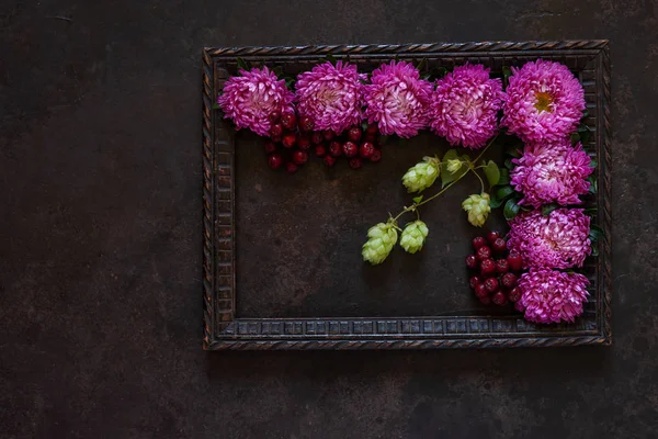 Mooie paarse herfst bloemen asters, hop plant — Stockfoto