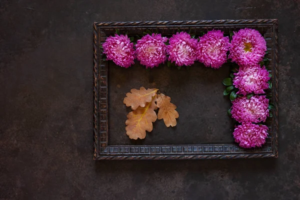 Bellissimi fiori viola autunno astri con spazio copia — Foto Stock