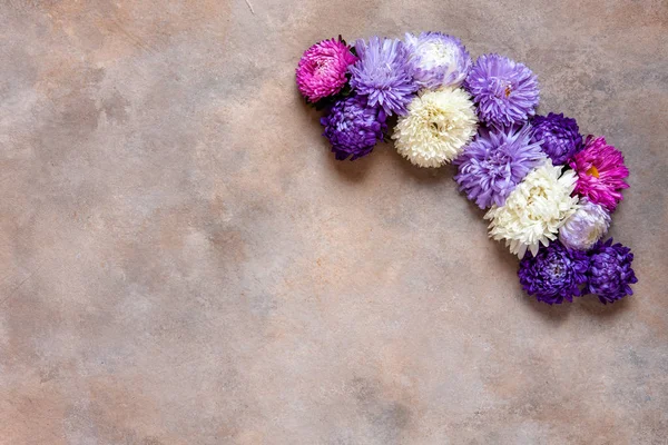 Bellissimi fiori autunnali colorati astri. Concetto autunno — Foto Stock