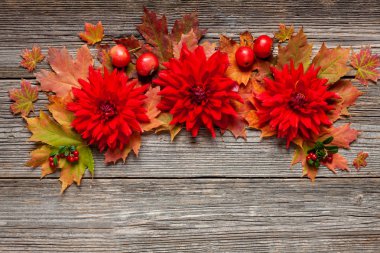 Renkli sonbahar yaprakları, kırmızı dahlias ile Sonbahar Çiçek desen 