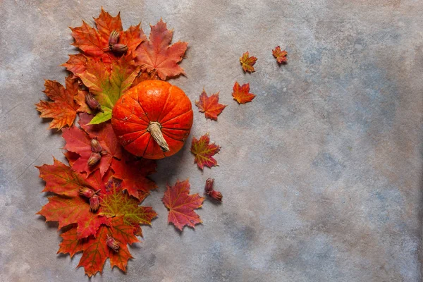 明るい秋のカエデの葉、カボチャとヘーゼルナッツ — ストック写真