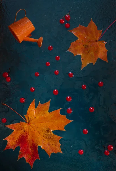 紅葉色鮮やかな秋の花模様と赤のビブーン — ストック写真