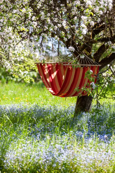 Schöne Landschaft Mit Roter Hängematte Frühlingsgarten Mit Blühenden Apfelbäumen Sonniger — Stockfoto