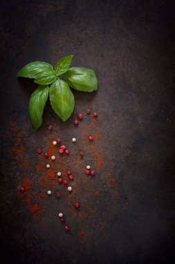 Taze fesleğen ve baharatların yakın plan fotoğrafı. Koyu beton masa arkaplanındaki üst görünüm