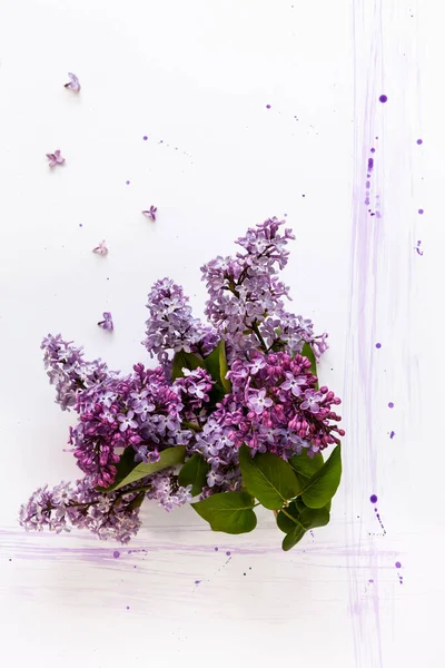 美しい紫色のライラックの枝のクローズアップ写真 ホワイトペーパーの背景に結婚式 婚約または裏切りの概念 トップビュー グリーティングカード — ストック写真