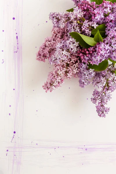 美しい紫色のライラックの枝のクローズアップ写真 ホワイトペーパーの背景に結婚式 婚約または裏切りの概念 トップビュー グリーティングカード — ストック写真