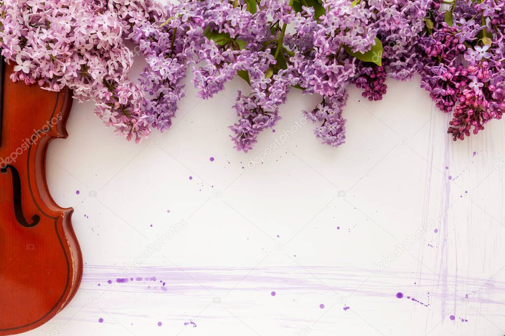 Violin and flowers of lilac on a white wooden background. Stringed musical instrument.	