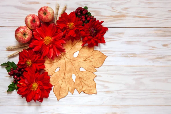 Manzanas Flores Dahlia Roja Bayas Rojas Con Espacio Copia Concepto — Foto de Stock