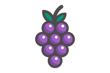 Üzüm, vektör çizim sulu bir demet