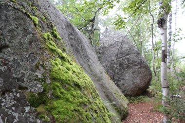 Orman ve dağ taş Peyzaj fotoğraf / fotoğraf Ural Dağları'nın güzel manzara. Taş dağ orman ve farklı boyutlarda taşlar: büyük ve küçük. Yolları vardır. Yolcuları sık sık bu yerleri ziyaret. Russ yazında fotoğraf