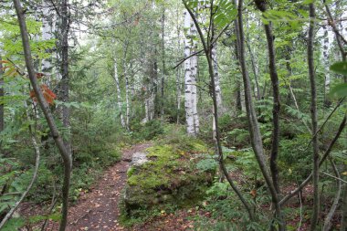 Orman ve dağ taş Peyzaj fotoğraf / fotoğraf Ural Dağları'nın güzel manzara. Taş dağ orman ve farklı boyutlarda taşlar: büyük ve küçük. Yolları vardır. Yolcuları sık sık bu yerleri ziyaret. Russ yazında fotoğraf