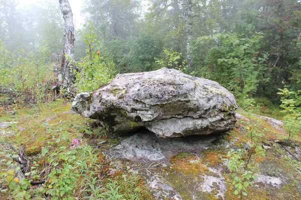 Foto Van Landschap Van Bossen Stenen Berg Foto Van Prachtige — Stockfoto