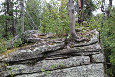 Orman ve dağ taş Peyzaj fotoğraf / fotoğraf Ural Dağları'nın güzel manzara. Taş dağ orman ve farklı boyutlarda taşlar: büyük ve küçük. Yolları vardır. Yolcuları sık sık bu yerleri ziyaret. Russ yazında fotoğraf