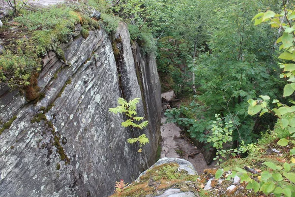 Foto Landschaft Von Wald Und Steinen Auf Dem Berg Foto — Stockfoto