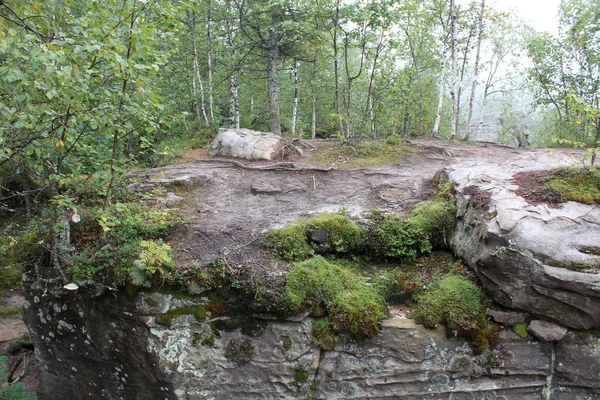 Fotografia Krajobraz Lasu Kamienie Górze Zdjęcie Piękny Krajobraz Gór Ural — Zdjęcie stockowe