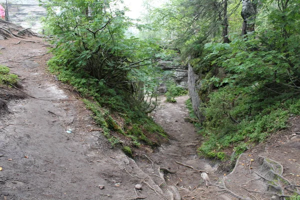 Foto Van Landschap Van Bossen Stenen Berg Foto Van Prachtige — Stockfoto