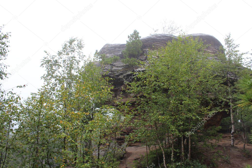 photo landscape of forest and stones on the mountain / Photo beautiful landscape of the Ural mountains.On the Stone mountain forest and stones of different sizes: large and small.There are paths.Travelers often visit these places.Photo summer in Russ