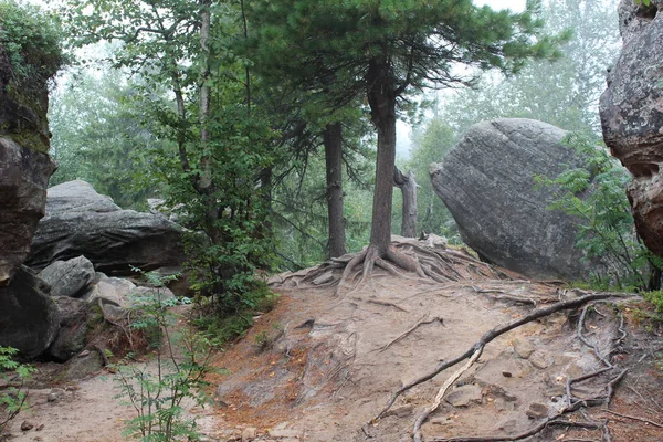 Foto Paisaje Bosque Piedras Montaña Foto Hermoso Paisaje Las Montañas — Foto de Stock