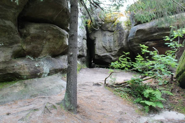 Orman ve dağ taş Peyzaj fotoğraf / fotoğraf Ural Dağları'nın güzel manzara. Taş dağ orman ve farklı boyutlarda taşlar: büyük ve küçük. Yolları vardır. Yolcuları sık sık bu yerleri ziyaret. Russ yazında fotoğraf