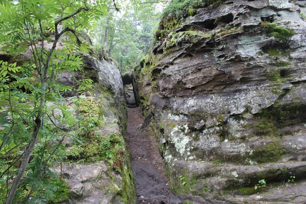 图为森林和石头的风景在山上 照片乌拉尔山的美丽风景 在石山森林和不同大小的石头 大和小 有路径 游客经常参观这些地方 图为夏季在拉斯 — 图库照片