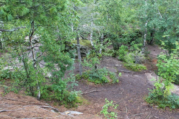 Foto Van Landschap Van Bossen Stenen Berg Foto Van Prachtige — Stockfoto