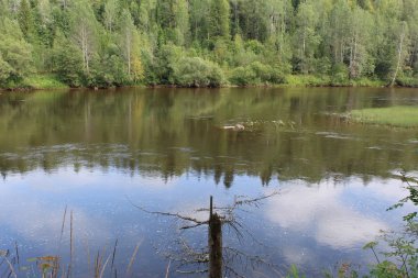 Urallar dağ manzaralı ve nehir görünümü güzel manzara / güzel manzara perma bölgede nerede nehir Usva.Along nehir Dağları, ormanları, açıklık alanlar. Hızlı akım ile su. Ural Nehri çok güzel olacak. Russi fotoğrafı