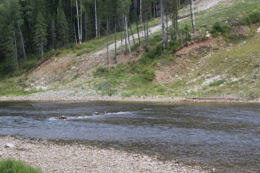Urallar dağ manzaralı ve nehir görünümü güzel manzara / güzel manzara perma bölgede nerede nehir Usva.Along nehir Dağları, ormanları, açıklık alanlar. Hızlı akım ile su. Ural Nehri çok güzel olacak. Russi fotoğrafı