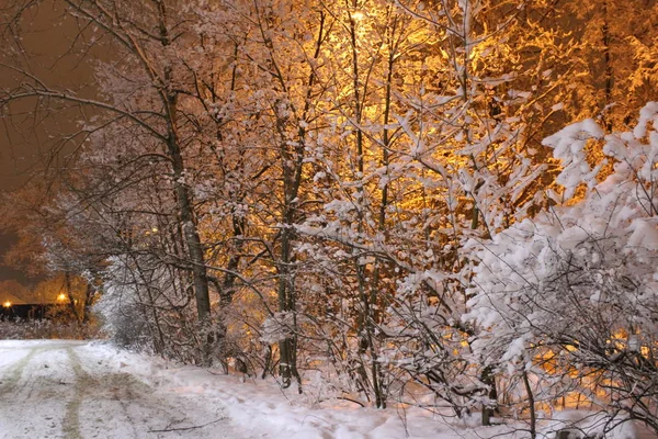 Fénykép Táj Havas Téli Este Télen Sok Russia Feküdt Földön — Stock Fotó
