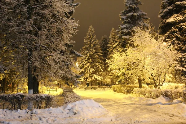 photo landscape snowy winter evening / Winter there is a lot of snow in Russia.He lay on the ground and the trees are fluffy and cold.In the evening under the light of lanterns in the Park is very beautiful.