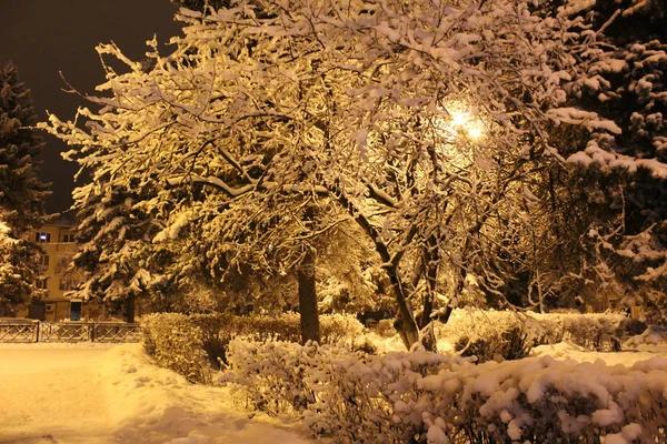 Χιονισμένο Τοπίο Φωτογραφία Χειμώνας Βράδυ Χειμώνα Δεν Υπάρχει Αρκετό Χιόνι — Φωτογραφία Αρχείου