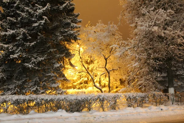 photo landscape snowy winter evening / Winter there is a lot of snow in Russia.He lay on the ground and the trees are fluffy and cold.In the evening under the light of lanterns in the Park is very beautiful.