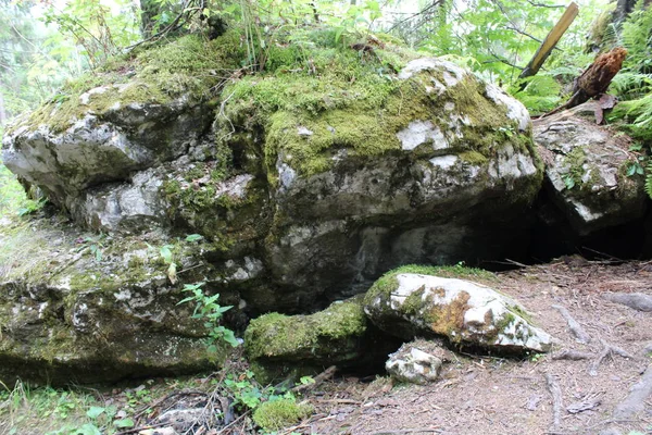 Wandelpad Het Bos Oeral Rusland Foto Van Paden Het Bos — Stockfoto