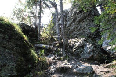 dağ yolu ormandaki / fotoğraf yollar dağlarda ormanıyla kaplı. Güzel, çok iyi bir iz Perm Krayı, Russia.For yürüyüşçü yerleştirir. Üzerlerine yürüyen bir zevktir. Doğa inanılmaz bir manzara oluşturdu. Zaman yıl yaz. Gün.