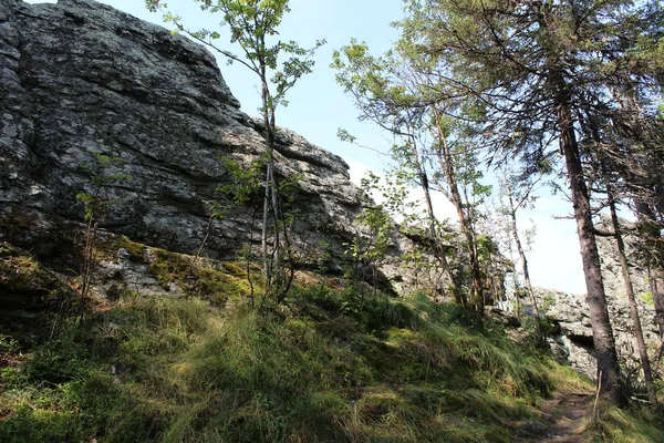 dağ yolu ormandaki / fotoğraf yollar dağlarda ormanıyla kaplı. Güzel, çok iyi bir iz Perm Krayı, Russia.For yürüyüşçü yerleştirir. Üzerlerine yürüyen bir zevktir. Doğa inanılmaz bir manzara oluşturdu. Zaman yıl yaz. Gün.