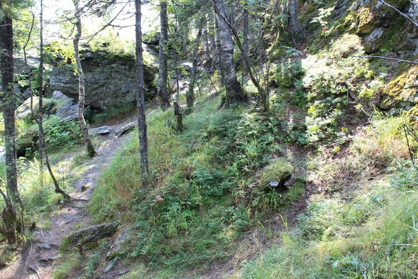 dağ yolu ormandaki / fotoğraf yollar dağlarda ormanıyla kaplı. Güzel, çok iyi bir iz Perm Krayı, Russia.For yürüyüşçü yerleştirir. Üzerlerine yürüyen bir zevktir. Doğa inanılmaz bir manzara oluşturdu. Zaman yıl yaz. Gün.