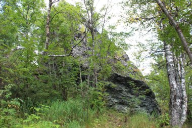 Ormandaki taşlarla Rusya'da Urals yaz aylarında manzara. / Urallar Rusya'nın renkli doğada. İçinde belgili tanımlık fotoğraf manzara orman dağ alanında. Zaman yıl yaz. Ağaçların yaprakları yeşil, gri taşlar.