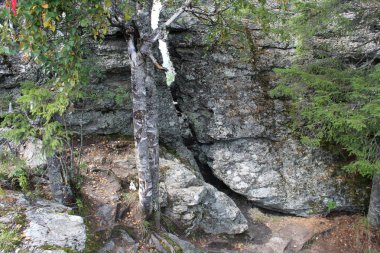 Ormandaki taşlarla Rusya'da Urals yaz aylarında manzara. / Urallar Rusya'nın renkli doğada. İçinde belgili tanımlık fotoğraf manzara orman dağ alanında. Zaman yıl yaz. Ağaçların yaprakları yeşil, gri taşlar.