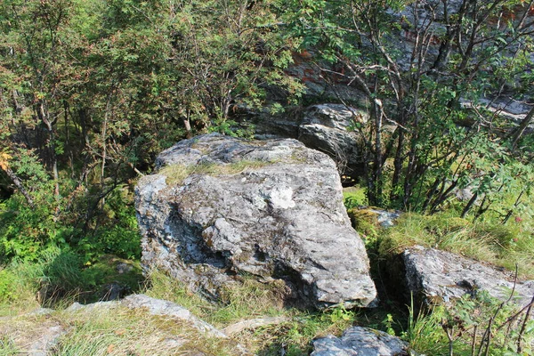 Ormandaki taşlarla Rusya'da Urals yaz aylarında manzara. / Urallar Rusya'nın renkli doğada. İçinde belgili tanımlık fotoğraf manzara orman dağ alanında. Zaman yıl yaz. Ağaçların yaprakları yeşil, gri taşlar.